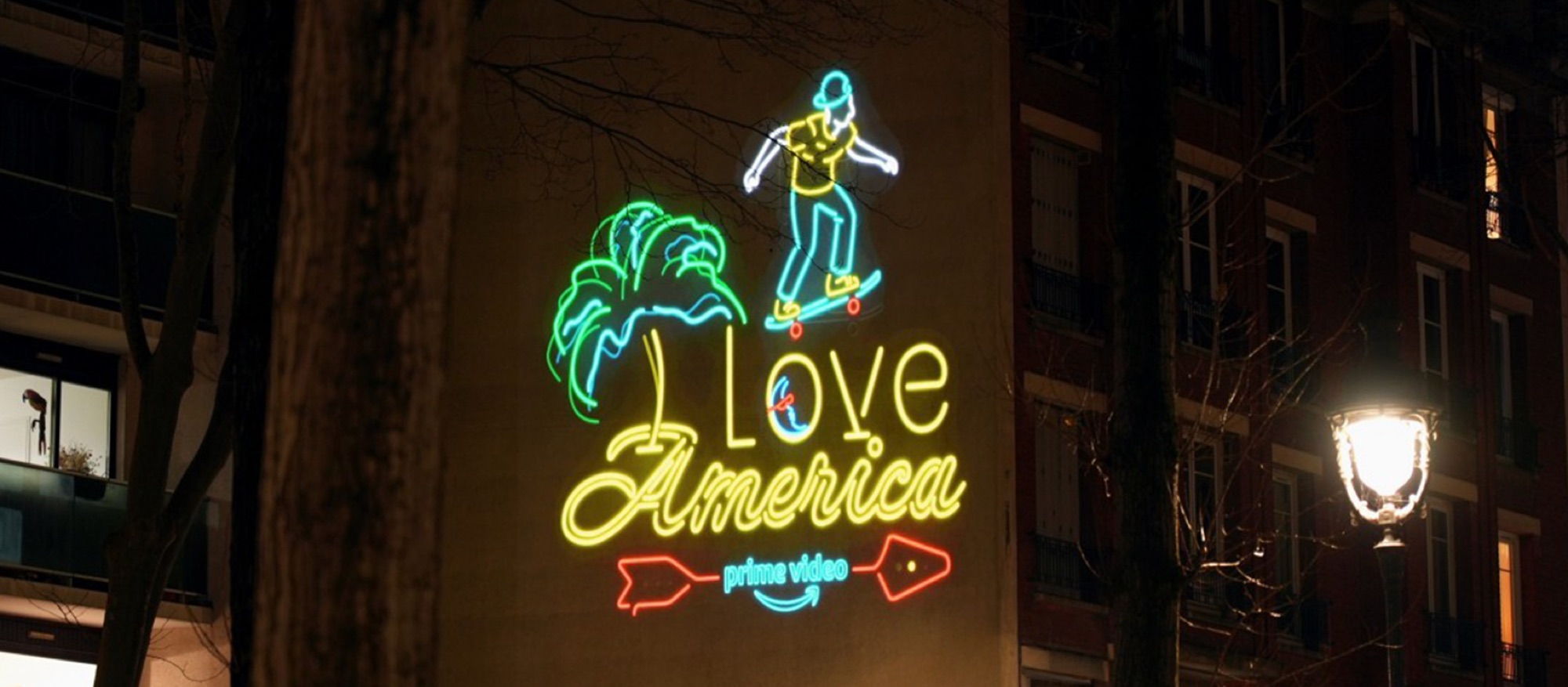The skateboarder, projected at night