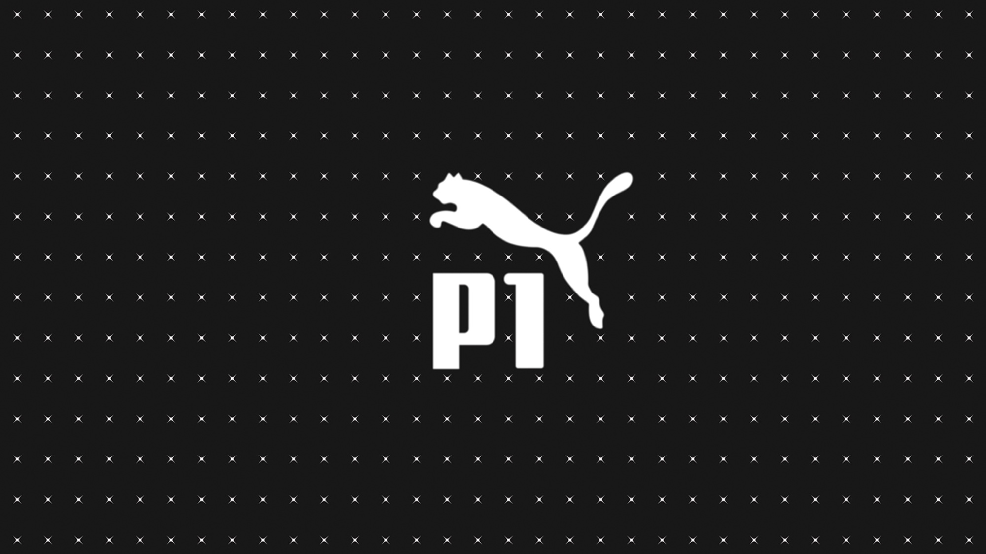 Puma P1, ancienne Hero